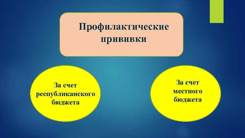 Профилактические прививки За счет республиканского бюджета За счет местного бюджета 