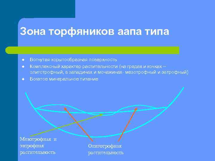 Зона торфяников аапа типа l l l Вогнутая корытообразная поверхность Комплексный характер растительности (на