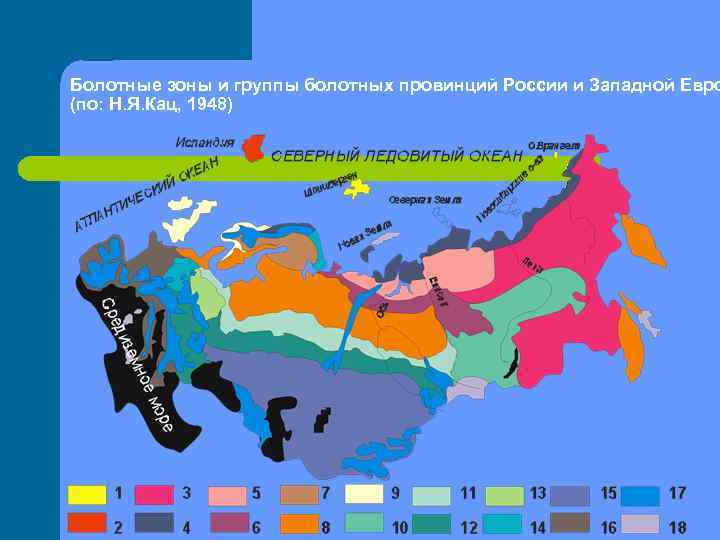 Болотные зоны и группы болотных провинций России и Западной Евро (по: Н. Я. Кац,