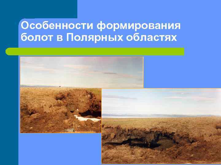 Особенности формирования болот в Полярных областях 