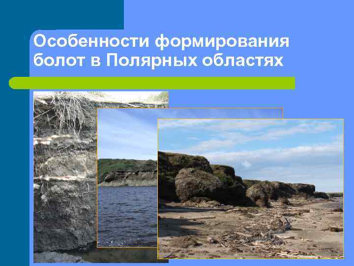 Особенности формирования болот в Полярных областях 