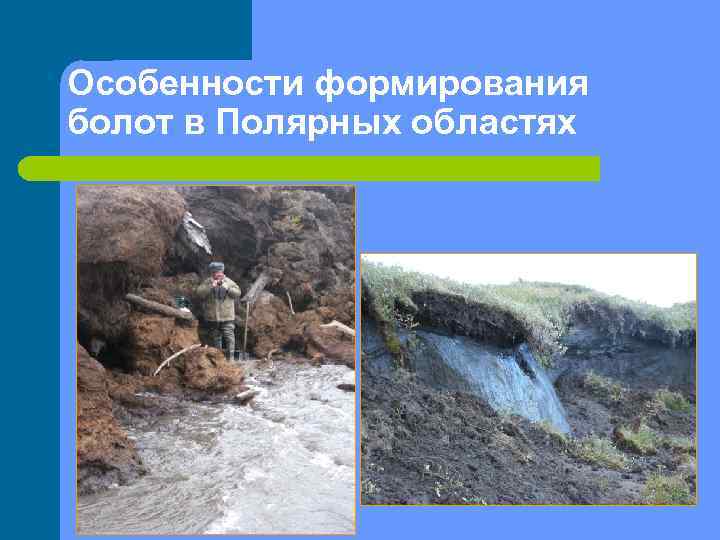 Особенности формирования болот в Полярных областях 
