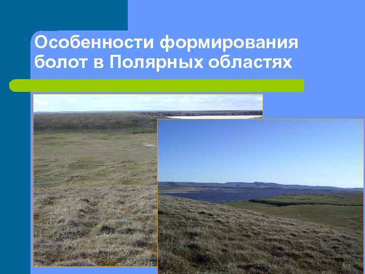 Особенности формирования болот в Полярных областях 