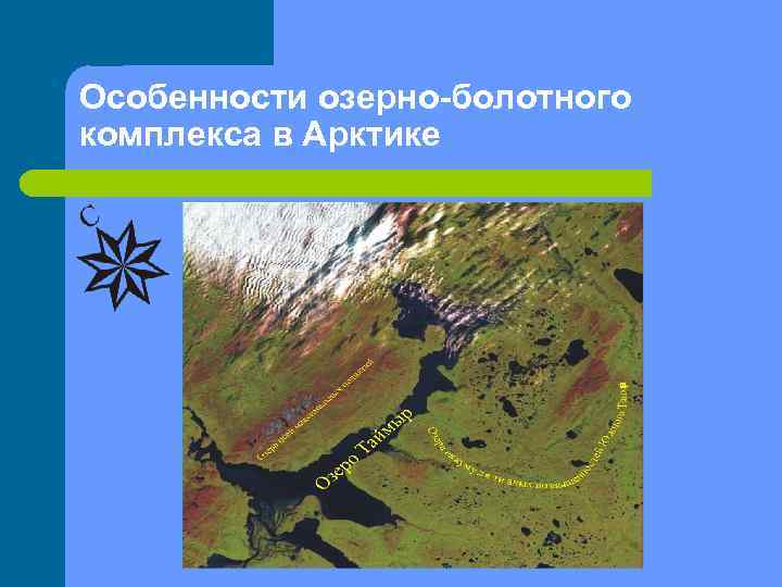 Особенности озерно-болотного комплекса в Арктике 
