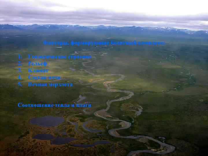 Факторы, формирующие болотный комплекс: 1. 2. 3. 4. 5. Геологическое строение Рельеф Климат Состав