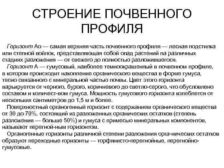 СТРОЕНИЕ ПОЧВЕННОГО ПРОФИЛЯ Горизонт Ао — самая верхняя часть почвенного профиля — лесная подстилка