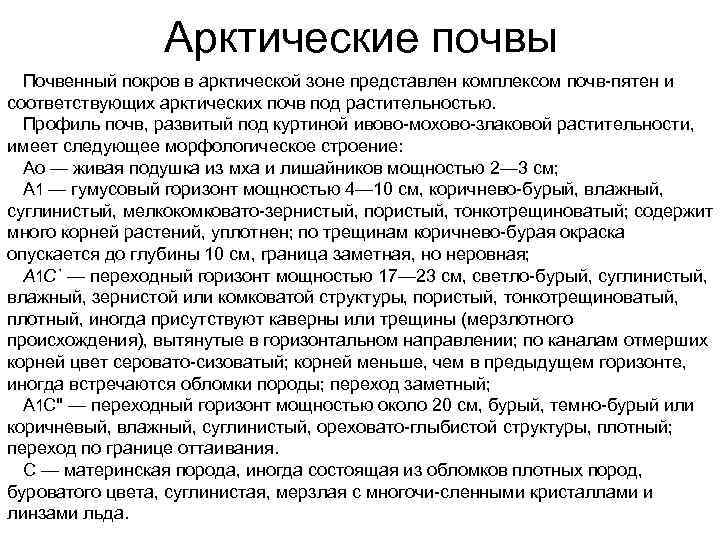 Арктические почвы Почвенный покров в арктической зоне представлен комплексом почв пятен и соответствующих арктических