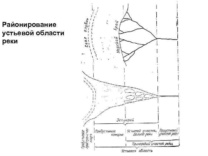 Районирование устьевой области реки 