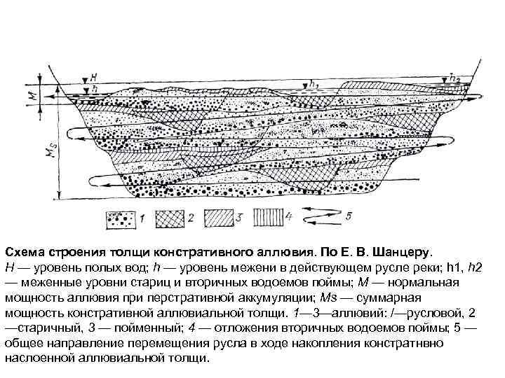 Схема строения толщи констративного аллювия. По Е. В. Шанцеру. H — уровень полых вод;