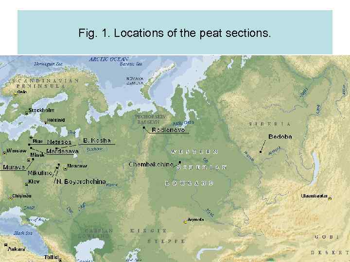 Fig. 1. Locations of the peat sections. 