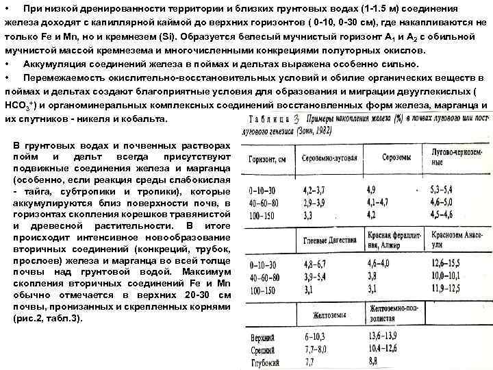  • При низкой дренированности территории и близких грунтовых водах (1 -1. 5 м)