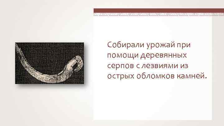 Собирали урожай при помощи деревянных серпов с лезвиями из острых обломков камней. 