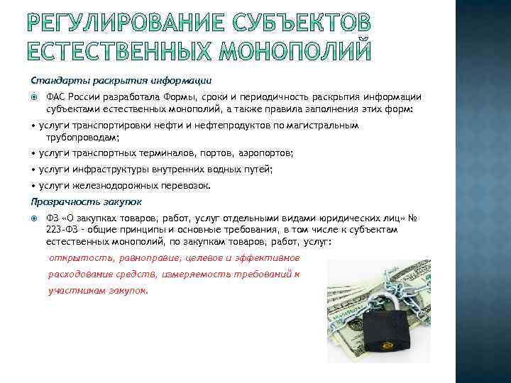 Стандарты раскрытия информации ФАС России разработала Формы, сроки и периодичность раскрытия информации субъектами естественных