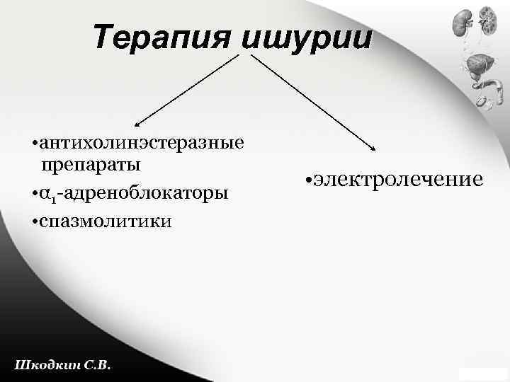 Ишурия. Препараты при ишурии. Патологическая ишурия. Парадоксальная ишурия. Ишурия таблетки.