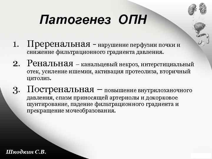 Патогенез ОПН 1. Преренальная - нарушение перфузии почки и снижение фильтрационного градиента давления. 2.