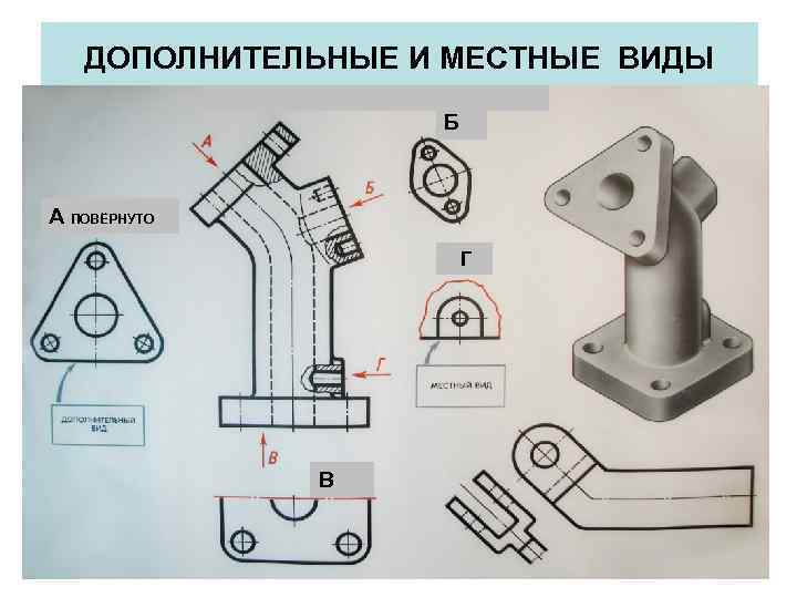 ДОПОЛНИТЕЛЬНЫЕ И МЕСТНЫЕ ВИДЫ Б А ПОВЁРНУТО Г В 