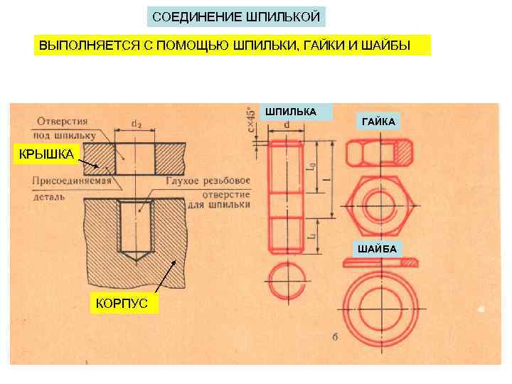 СОЕДИНЕНИЕ ШПИЛЬКОЙ ВЫПОЛНЯЕТСЯ С ПОМОЩЬЮ ШПИЛЬКИ, ГАЙКИ И ШАЙБЫ ШПИЛЬКА ГАЙКА КРЫШКА ШАЙБА КОРПУС