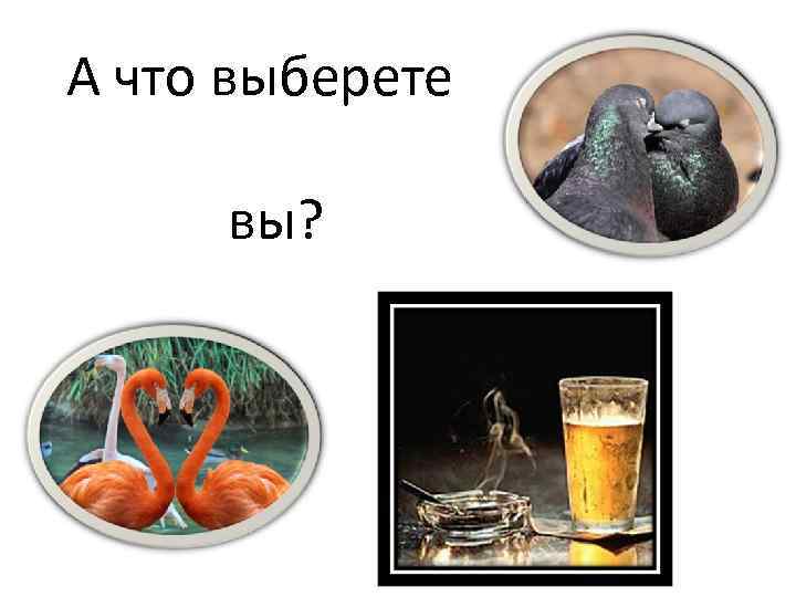 А что выберете вы? 