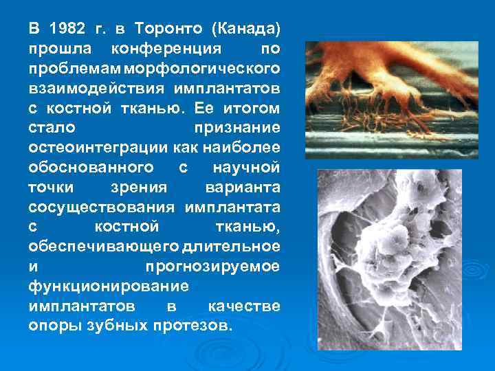 В 1982 г. в Торонто (Канада) прошла конференция по проблемам морфологического взаимодействия имплантатов с