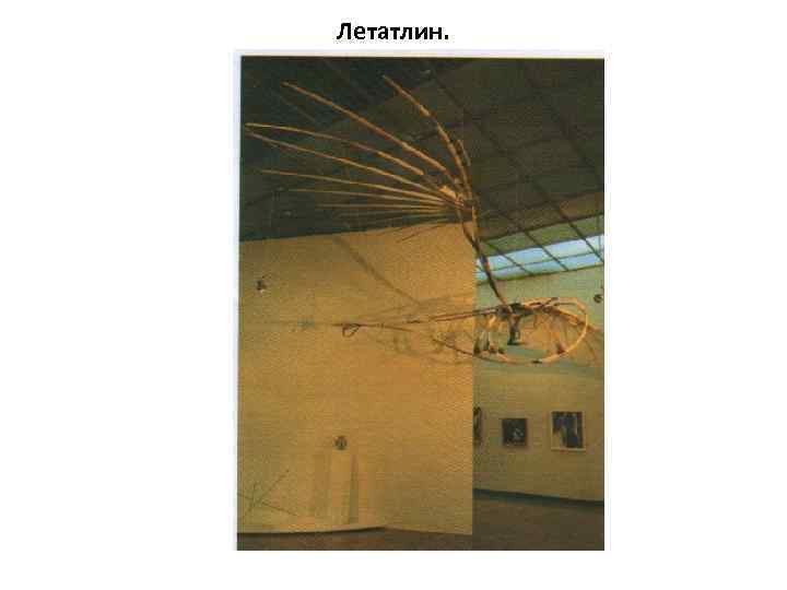Летатлин. 