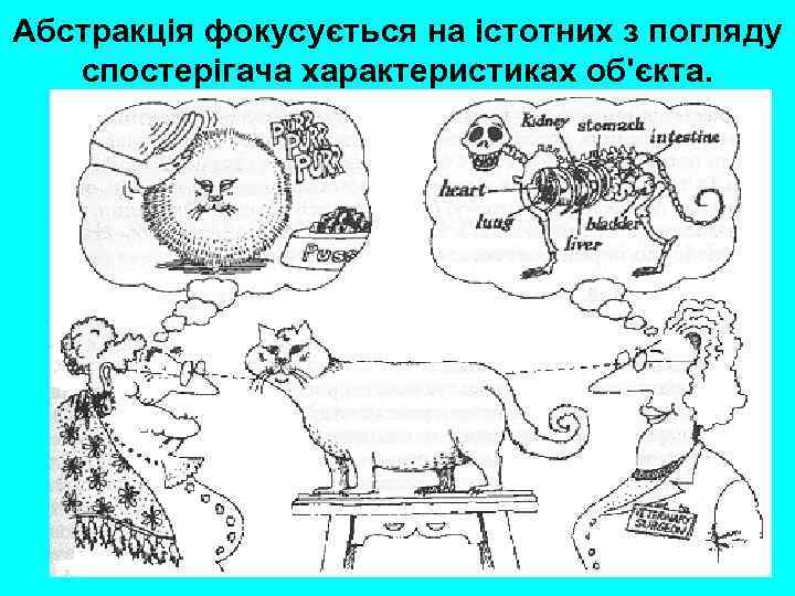 Абстракція фокусується на істотних з погляду спостерігача характеристиках об'єкта. 