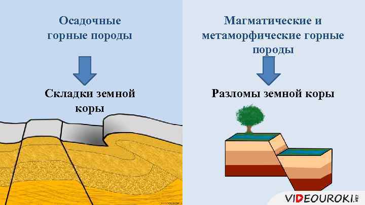 Осадочные горные породы Магматические и метаморфические горные породы Складки земной коры Разломы земной коры