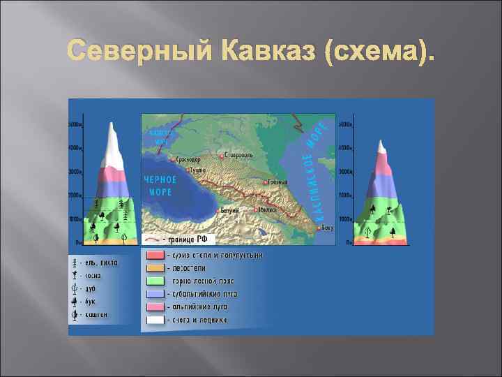 Северный Кавказ (схема). 