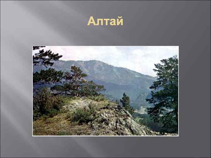 Алтай 