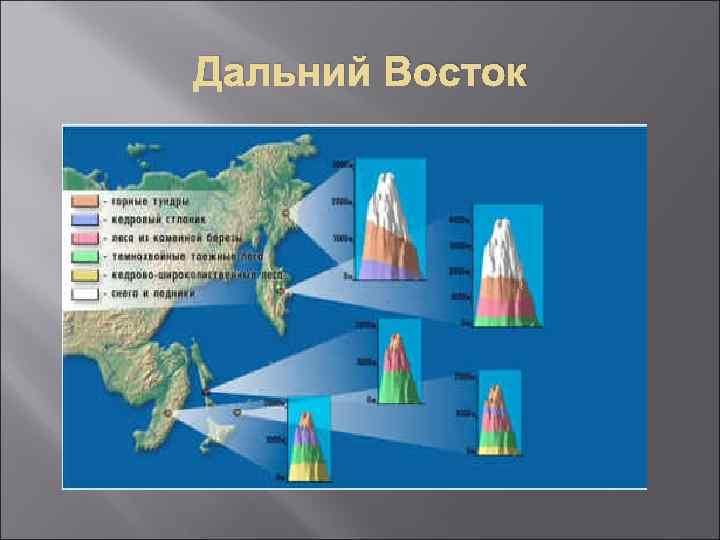 Дальний Восток 