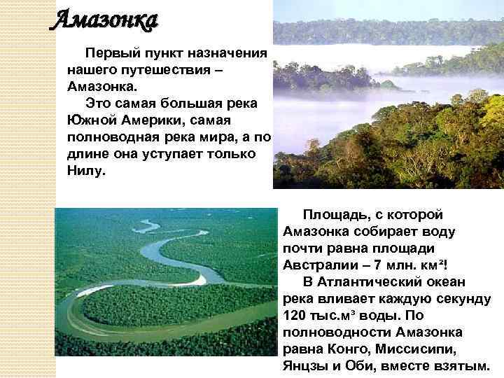 Амазонка Первый пункт назначения нашего путешествия – Амазонка. Это самая большая река Южной Америки,