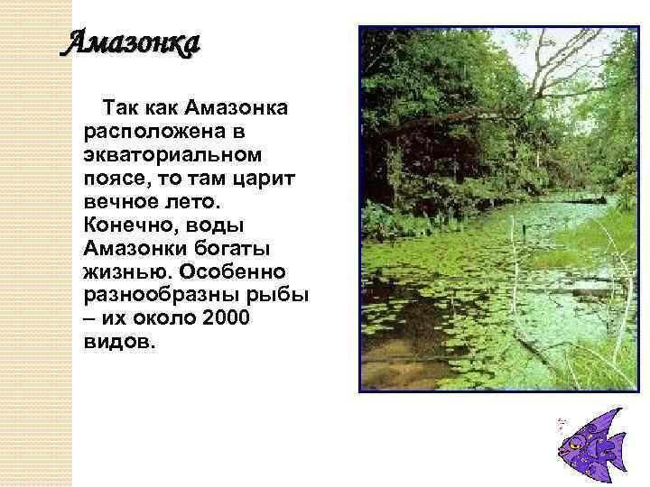 Амазонка Так как Амазонка расположена в экваториальном поясе, то там царит вечное лето. Конечно,