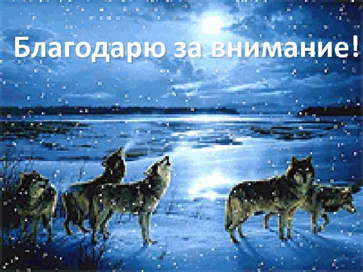 Благодарю за внимание! 