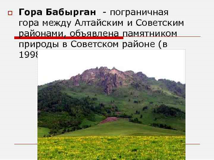 o Гора Бабырган - пограничная гора между Алтайским и Советским районами, объявлена памятником природы