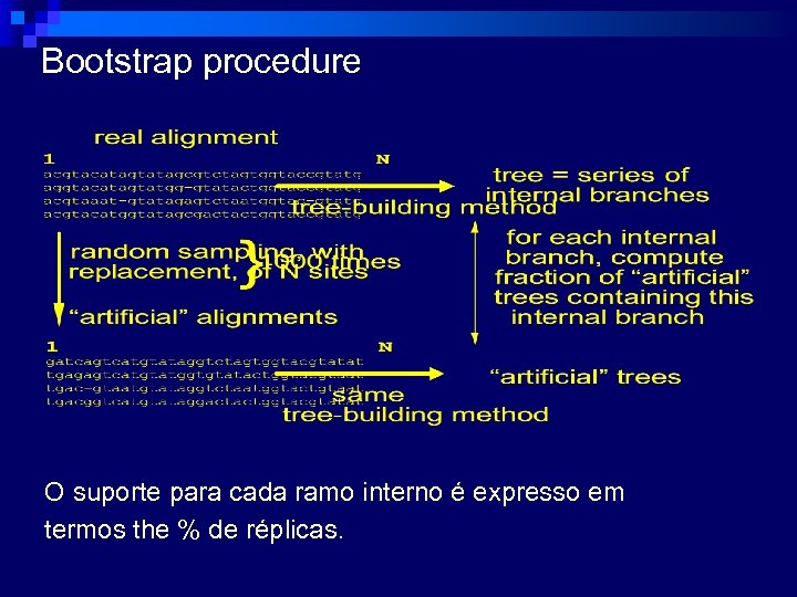 Bootstrap procedure O suporte para cada ramo interno é expresso em termos the %