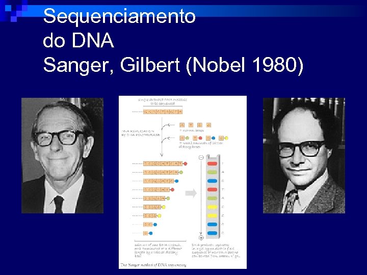 Sequenciamento do DNA Sanger, Gilbert (Nobel 1980) 