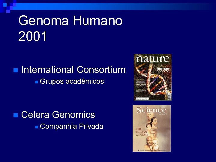 Genoma Humano 2001 n International Consortium n n Grupos acadêmicos Celera Genomics n Companhia