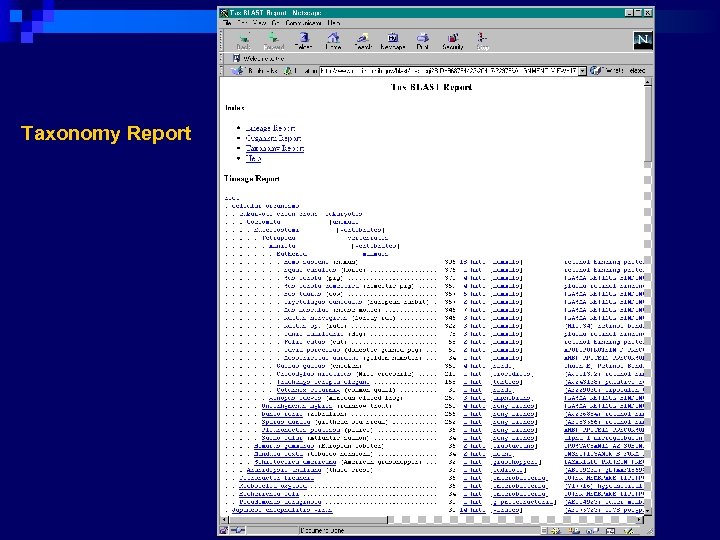 Taxonomy Report 