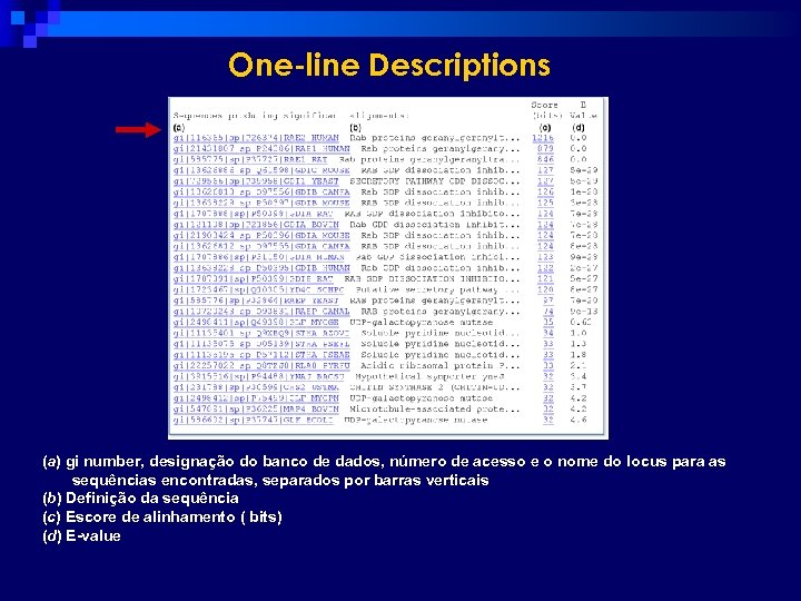 One-line Descriptions (a) gi number, designação do banco de dados, número de acesso e