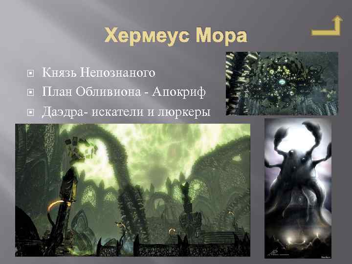 План хермеуса моры