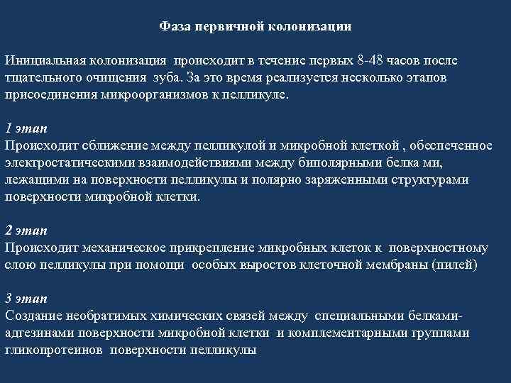 Фаза первичной колонизации Инициальная колонизация происходит в течение первых 8 -48 часов после тщательного