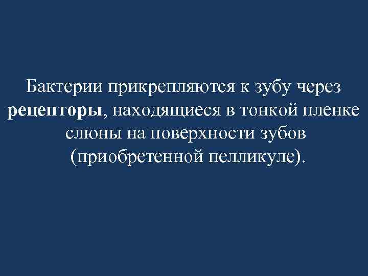 Бактерии прикрепляются к зубу через рецепторы, находящиеся в тонкой пленке слюны на поверхности зубов