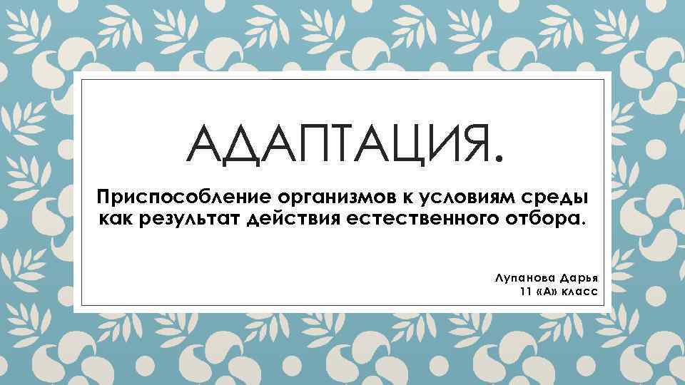 АДАПТАЦИЯ. Приспособление организмов к условиям среды как результат действия естественного отбора. Лупанова Дарья 11