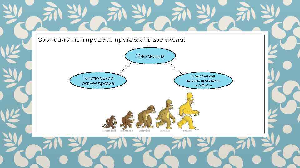 Эволюционный процесс протекает в два этапа: Эволюция Генетическое разнообразие Сохранение важных признаков и свойств