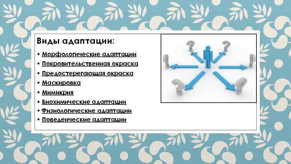 Виды адаптации: • Морфологические адаптации • Покровительственная окраска • Предостерегающая окраска • Маскировка •