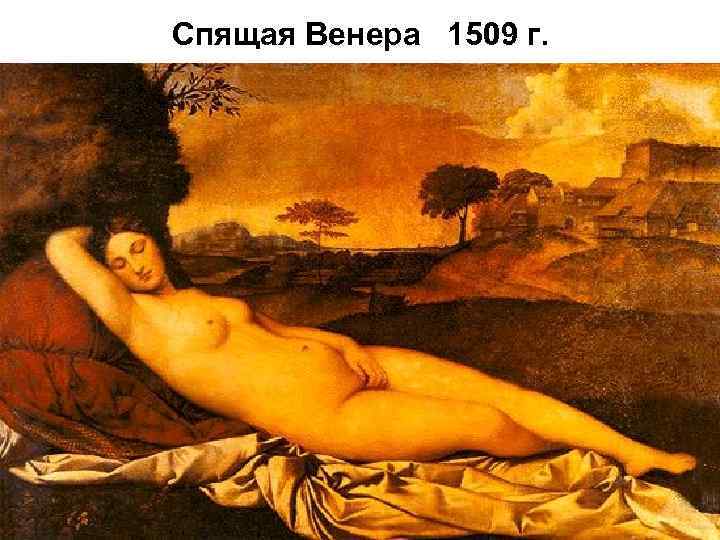 Спящая Венера 1509 г. 