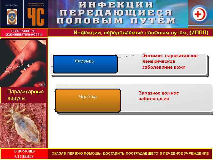 БЕЗОПАСНОСТЬ ЖИЗНЕДЕЯТЕЛЬНОСТИ Инфекции, передаваемые половым путем, (ИППП) Фтириаз Паразитарные вирусы Чесо тка Энтомоз, паразитарное