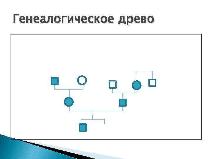 Генеалогическое древо 