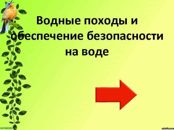 Водные походы и обеспечение безопасности на воде 