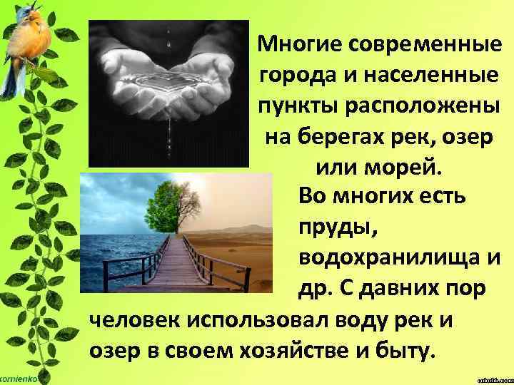 Многие современные города и населенные пункты расположены на берегах рек, озер или морей. Во