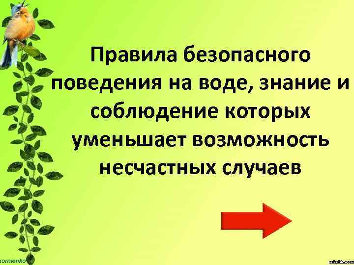 Правила безопасного поведения на воде, знание и соблюдение которых уменьшает возможность несчастных случаев 